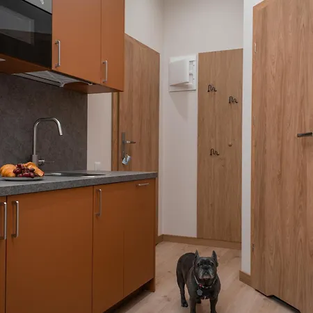 Sebo Apartament