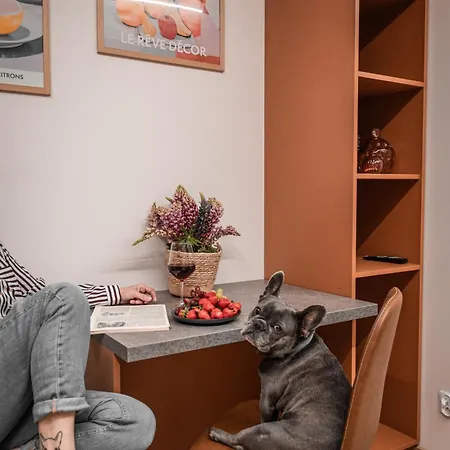 Sebo Apartament